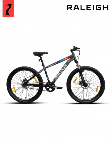 raleigh thorx 100 single speed bicycle